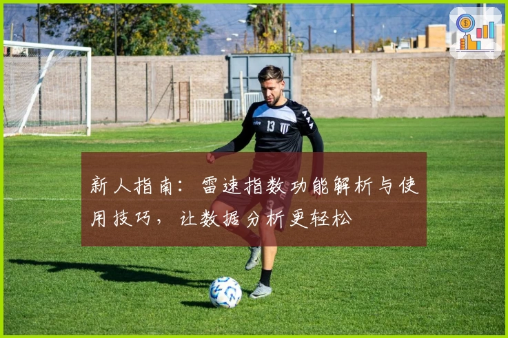 新人指南：雷速指数功能解析与使用技巧，让数据分析更轻松