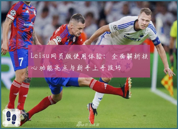 Leisu网页版使用体验:全面解析核心功能亮点与新手上手技巧