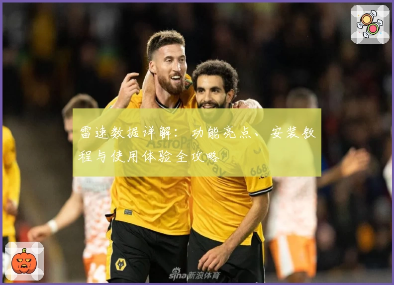 雷速数据详解：功能亮点、安装教程与使用体验全攻略
