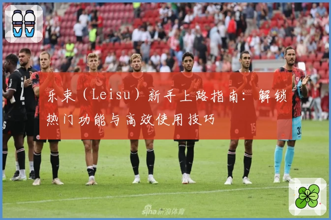 乐束（Leisu）新手上路指南：解锁热门功能与高效使用技巧