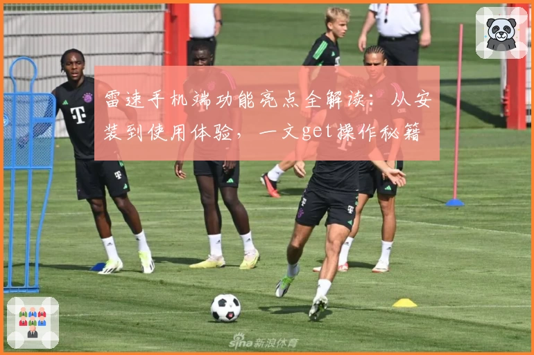 雷速手机端功能亮点全解读：从安装到使用体验，一文get操作秘籍