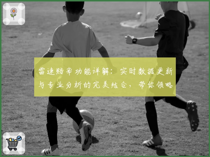 雷速赔率功能详解:实时数据更新与专业分析的完美结合,带你领略全新用户体验